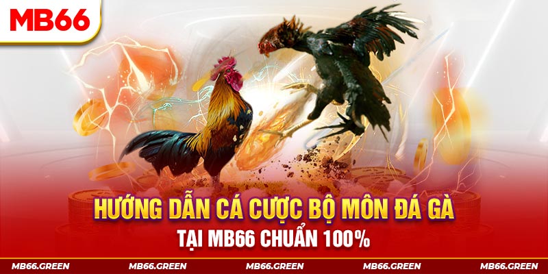 qh8888 xổ số bình định