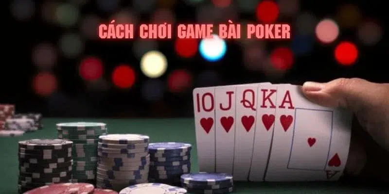 qh8888 Anda bạn quán ba hal