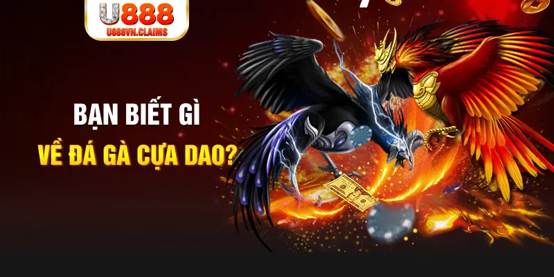 qh8888 xổ số kiến thiết