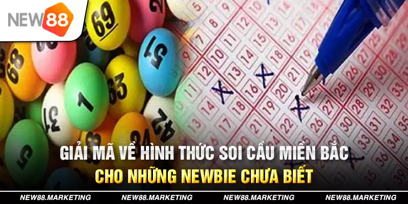 qh8888 đăng nhập mậu binh live