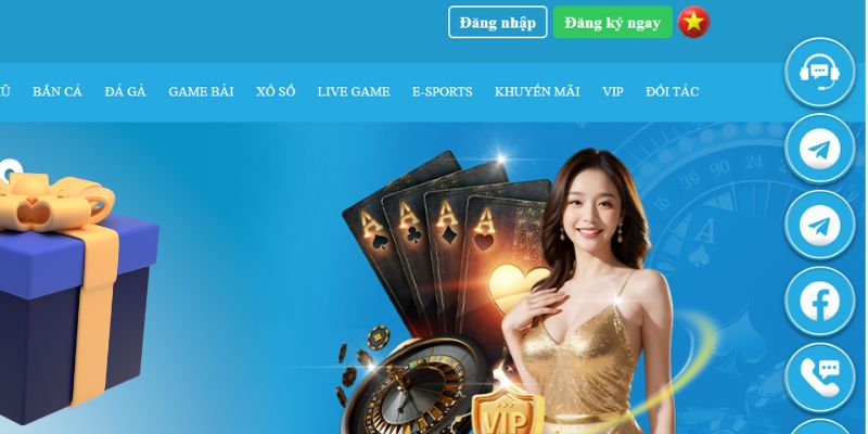 qh8888 slot là gì dịch