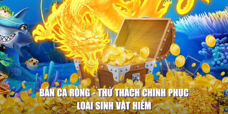 qh8888 MW Điện Tử