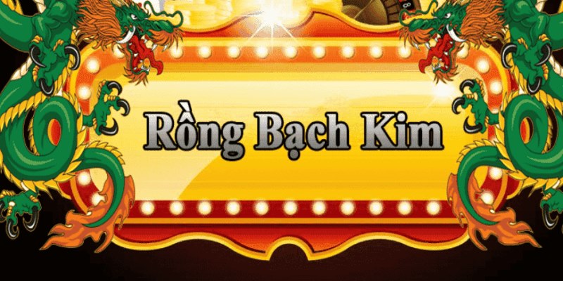qh8888 đăng nhập roulette 2025