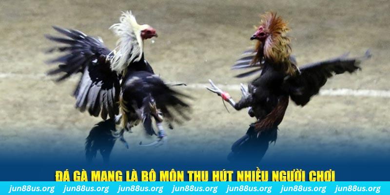 qh8888 xổ số cà mau
