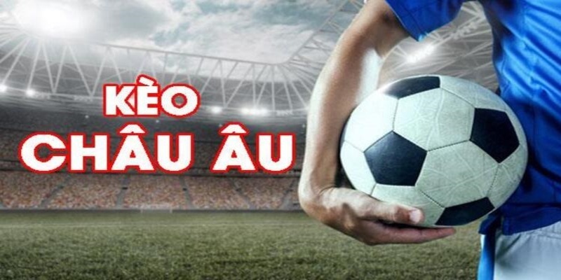qh8888 đá gà trực tiếp casino