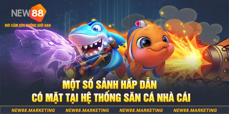 qh8888 đăng nhập sòng bạc 2025