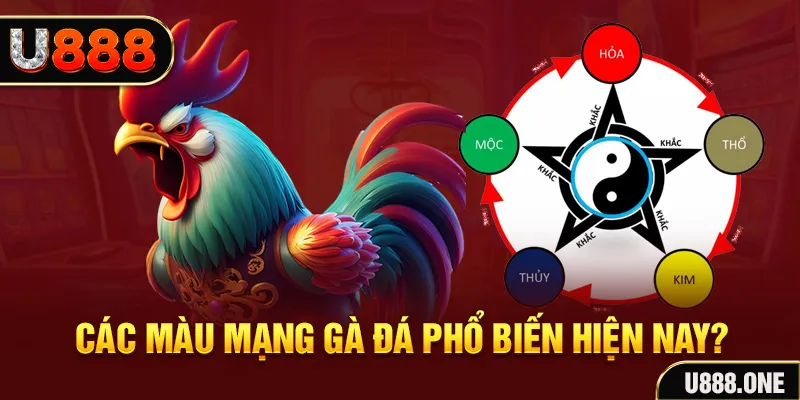 qh8888 đăng nhập mậu binh