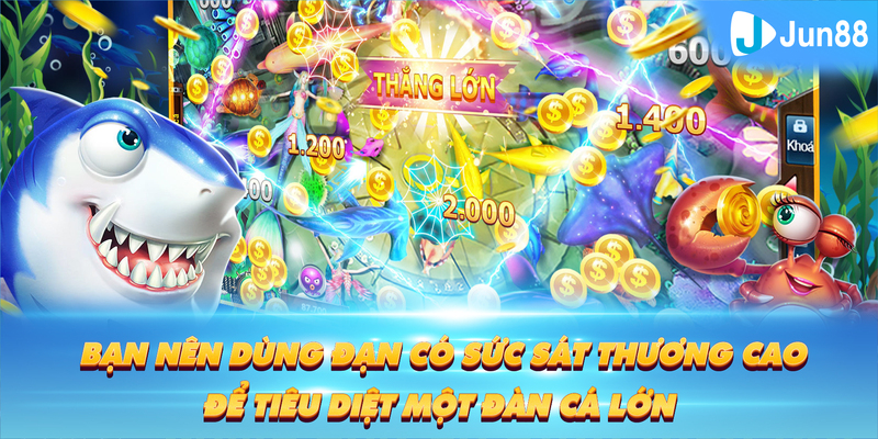 qh8888 Tung Đồng Xu
