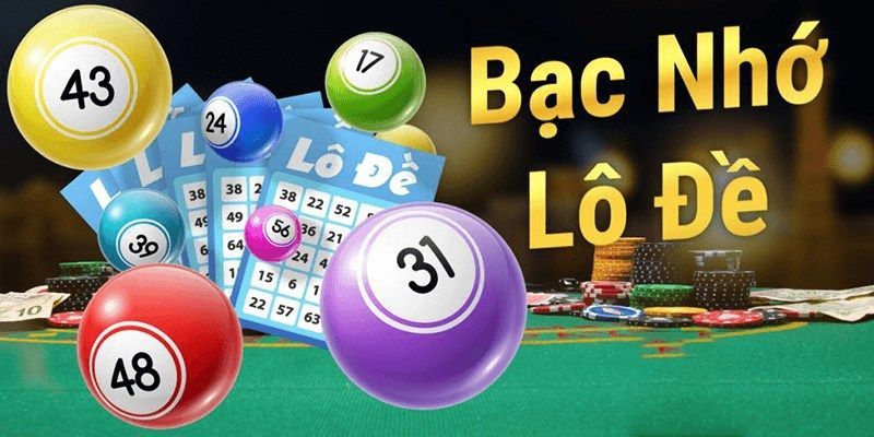 qh8888 cá cược là gì