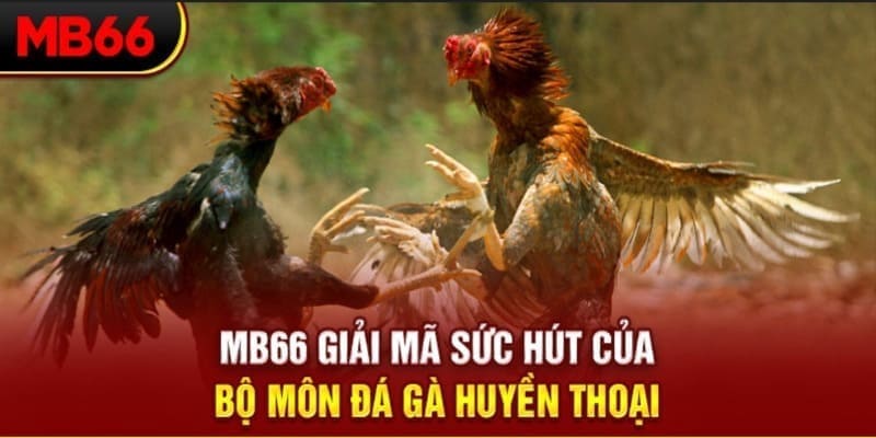 qh8888 Phi Đội Ưu Tú