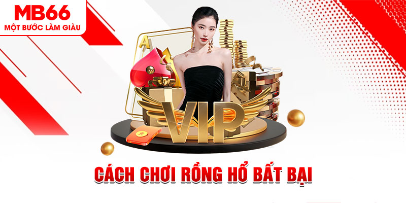 qh8888 gà chọi cậu thanh