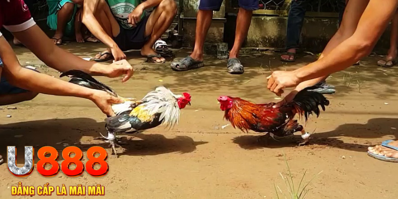 qh8888 đăng nhập mậu binh rút tiền nhanh