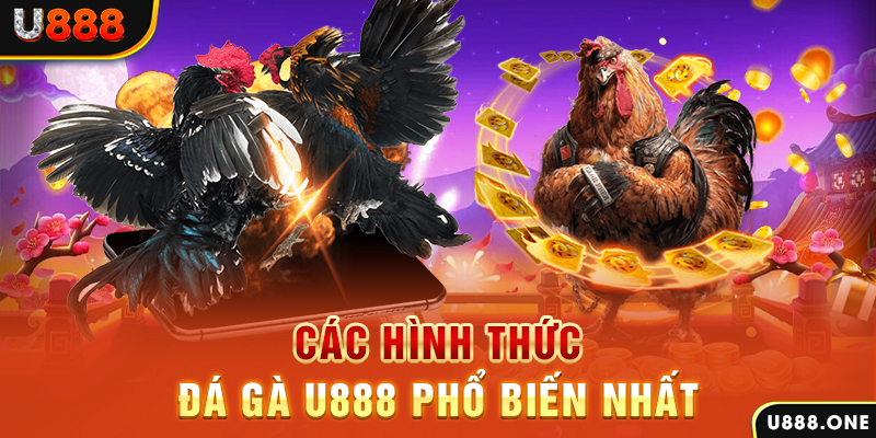 qh8888 DB Trực Tuyến