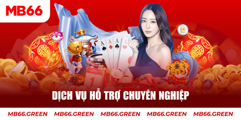 qh8888 AOG Đá Gà