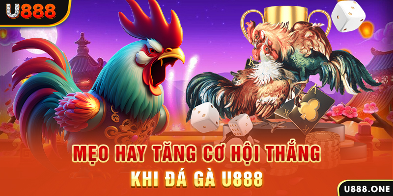 qh8888 trực tiếp gà chọi c1