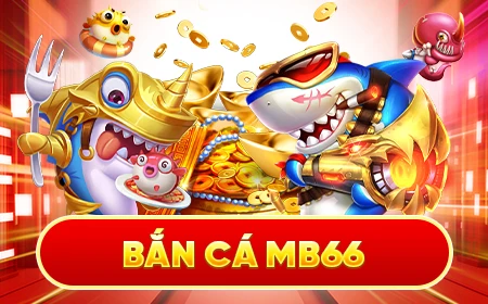 qh8888 đá gà trực tiếp 67