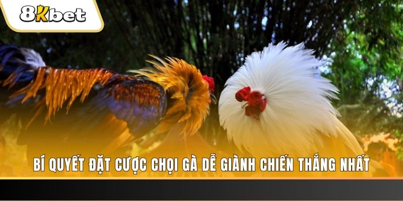 qh8888 Tài Xỉu 2
