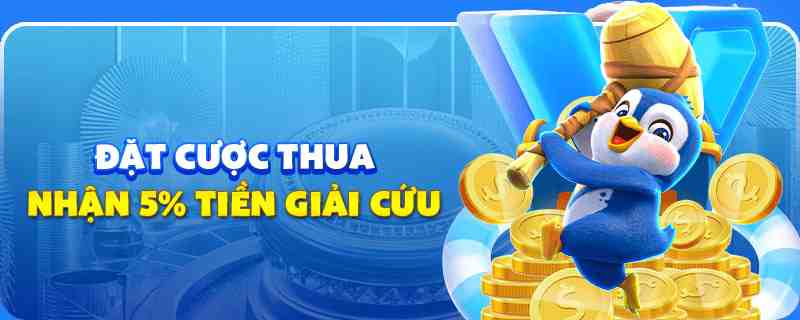 qh8888 gà chọi cu cần