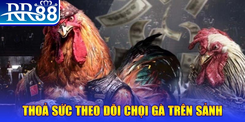 qh8888 đá gà 88.com