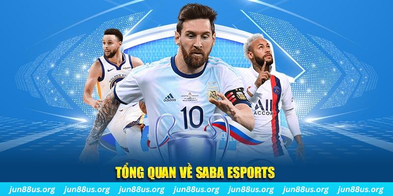 qh8888 gà chọi c1 tv trực tiếp hôm nay