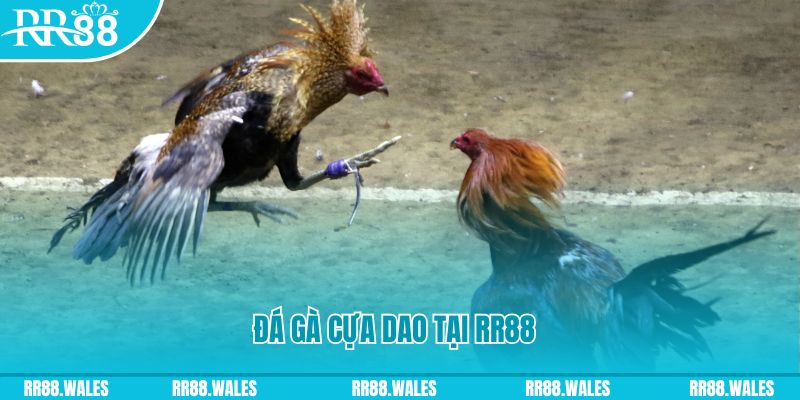 qh8888 đăng nhập nổ hũ dễ thắng
